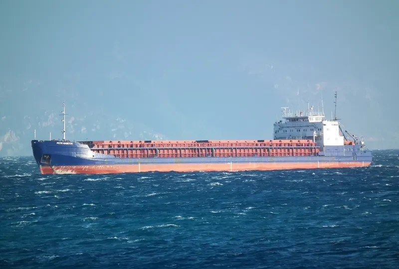 PETR HAMITOV General Cargo IMO 8989214