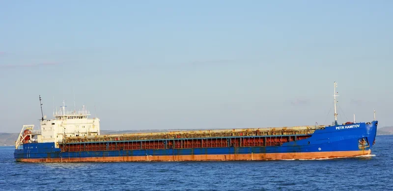 PETR HAMITOV General Cargo IMO 8989214 photo 4