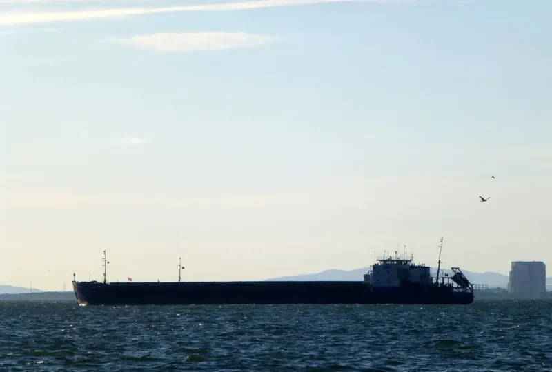 PETR HAMITOV General Cargo IMO 8989214 photo 7