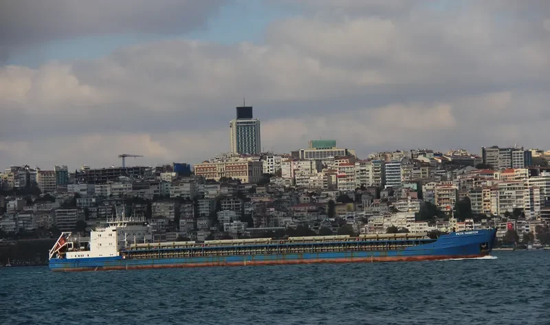 PETR HAMITOV General Cargo IMO 8989214 photo 8