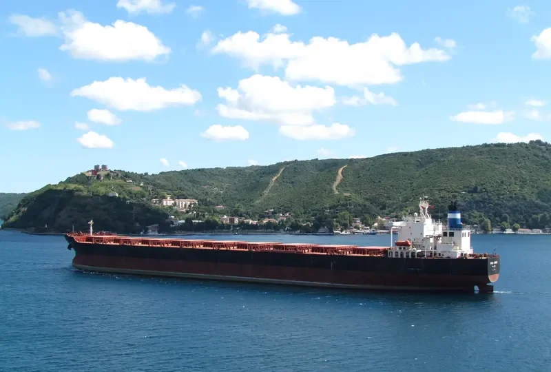 RUNNER 1 Bulk Carrier IMO 9000182