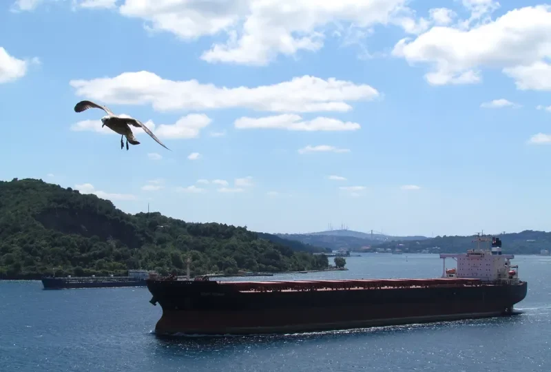 RUNNER 1 Bulk Carrier IMO 9000182 photo 2