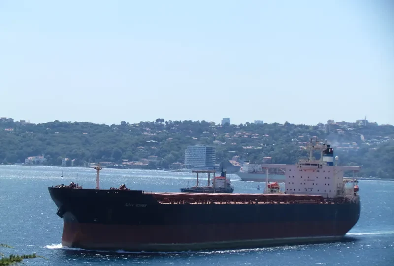 RUNNER 1 Bulk Carrier IMO 9000182 photo 3