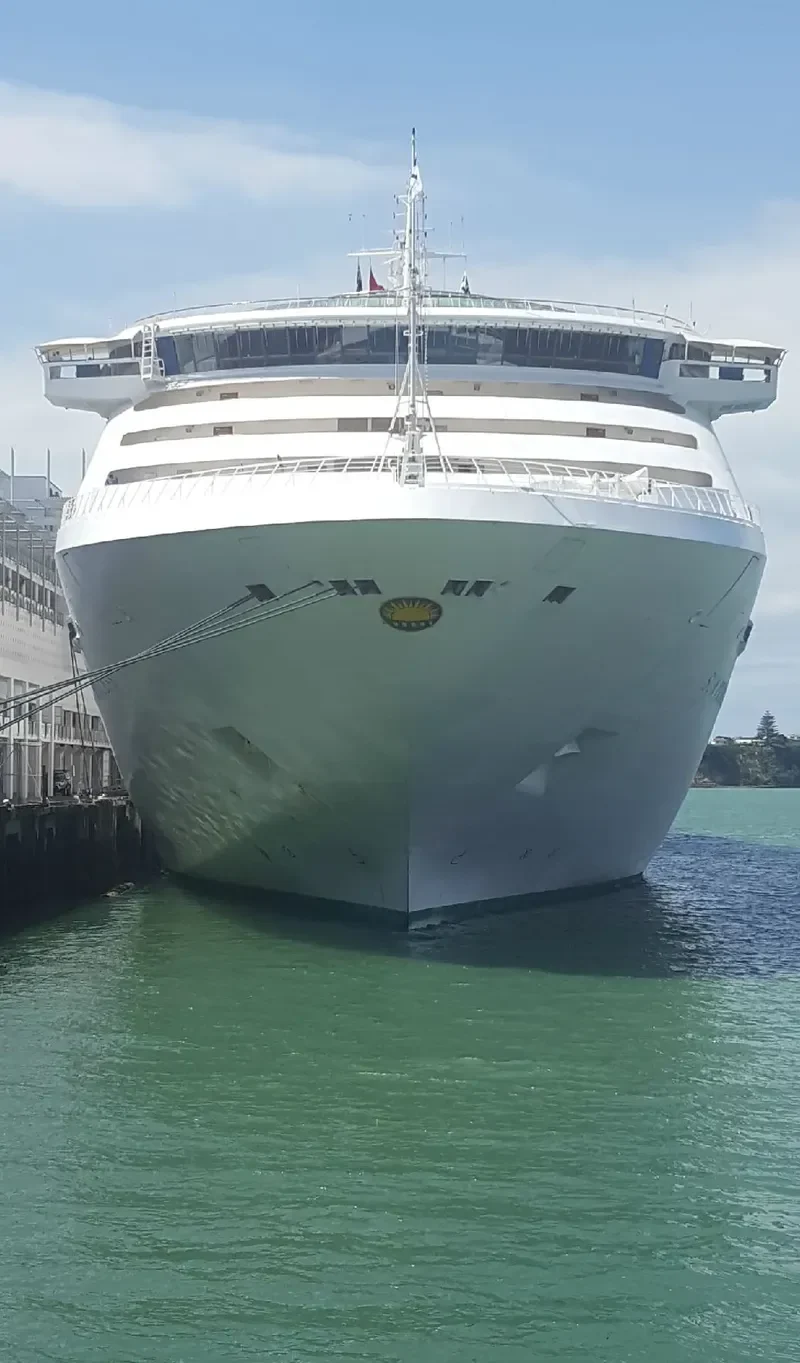 SUN PRINCESS Passenger Ship IMO 9000259 photo 3