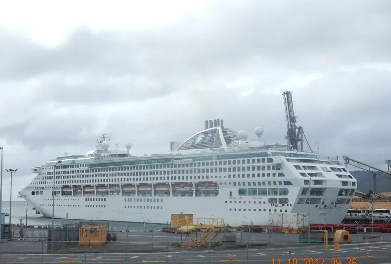 SUN PRINCESS Passenger Ship IMO 9000259 photo 10