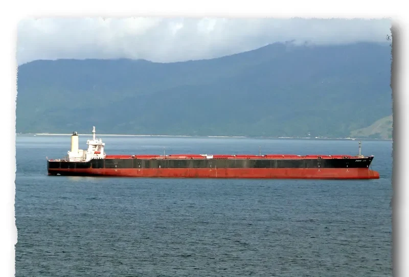 BERGE MANASLU Bulk Carrier IMO 9000352 photo 4