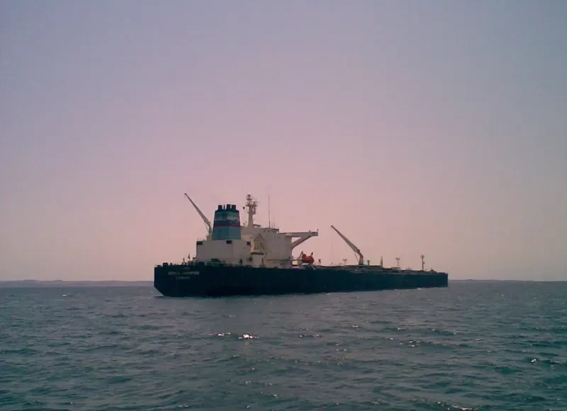 NEW HORIZON Bulk Carrier IMO 9000584 photo 3