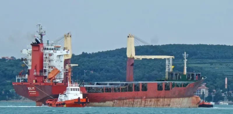 ELIT General Cargo IMO 9000716 photo 5