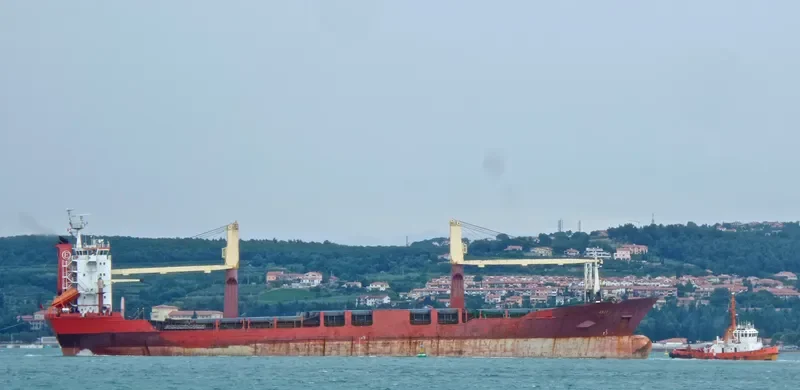 ELIT General Cargo IMO 9000716 photo 6