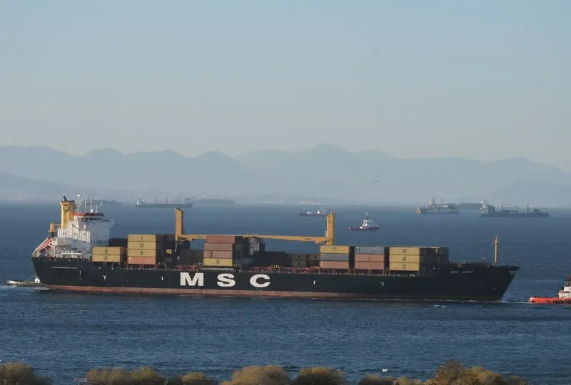 MSC JENNY Container Ship IMO 9000742 photo 2