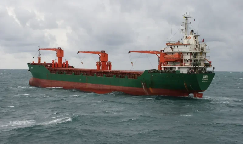 WAEL K General Cargo IMO 9001148