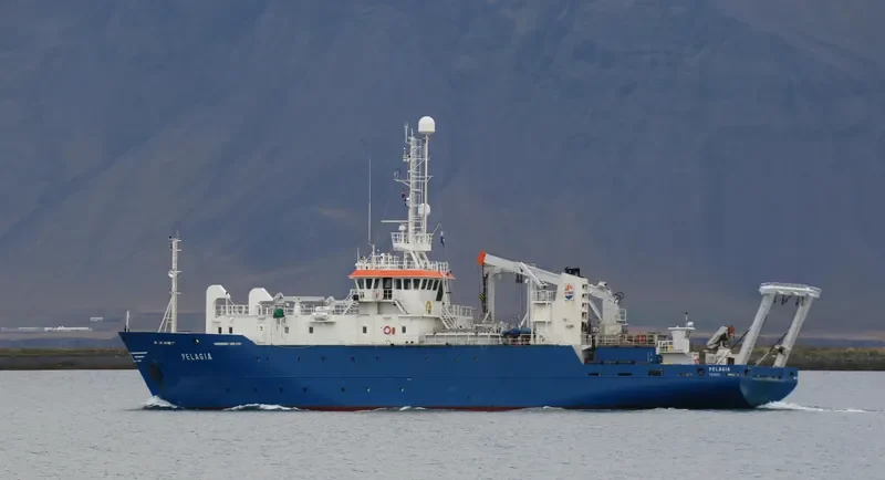 PELAGIA General Cargo IMO 9001461