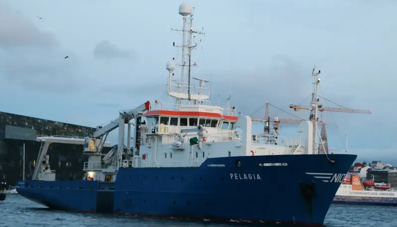 PELAGIA General Cargo IMO 9001461 photo 3