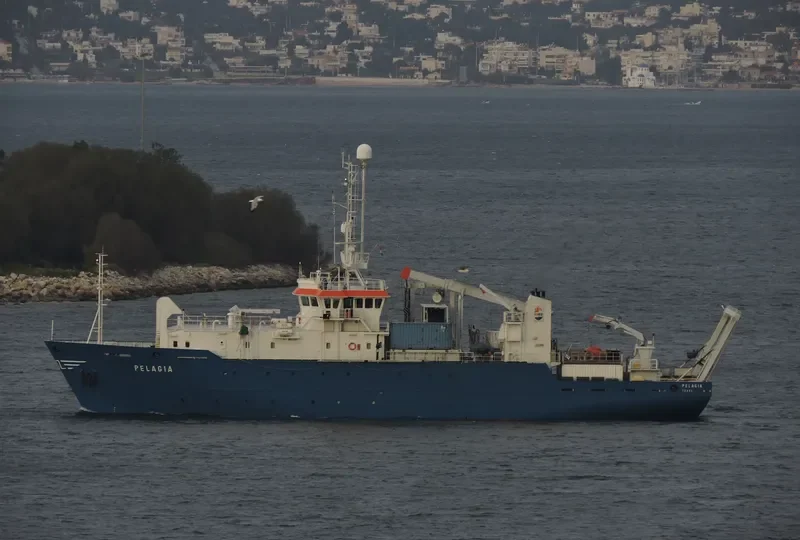 PELAGIA General Cargo IMO 9001461 photo 7