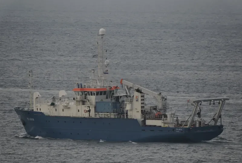 PELAGIA General Cargo IMO 9001461 photo 8