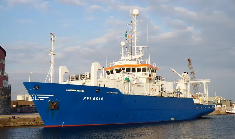 PELAGIA General Cargo IMO 9001461 photo 9