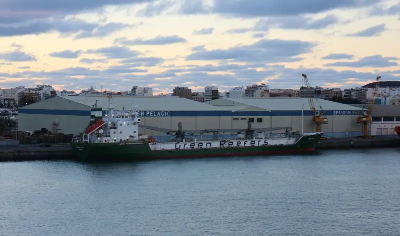 GREEN OCEAN General Cargo IMO 9001916