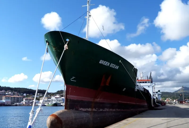GREEN OCEAN General Cargo IMO 9001916 photo 5
