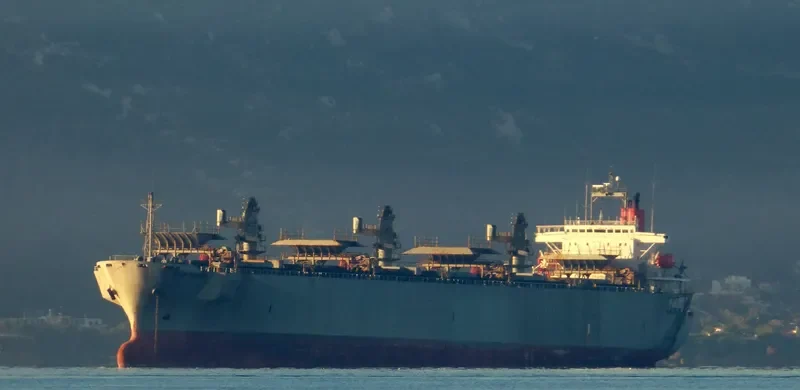 SON Bulk Carrier IMO 9002532