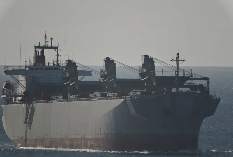 SON Bulk Carrier IMO 9002532 photo 2