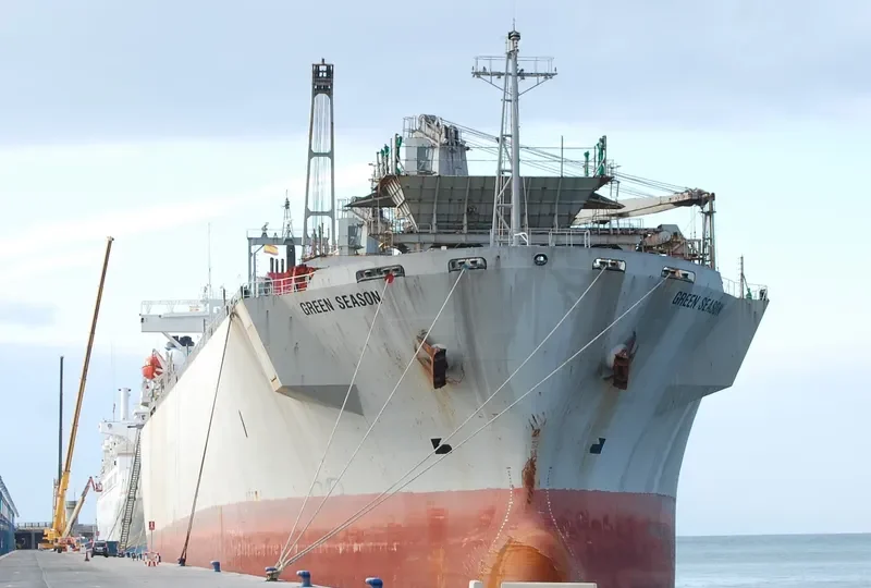 SON Bulk Carrier IMO 9002532 photo 6