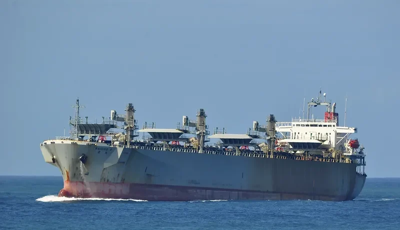 SON Bulk Carrier IMO 9002532 photo 10