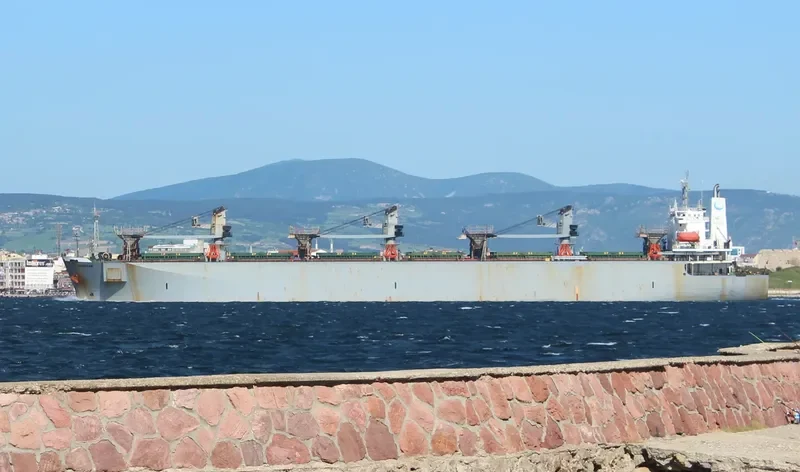 LARRY Bulk Carrier IMO 9002544 photo 8