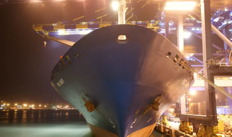 MSC ANAFI Container Ship IMO 9003304