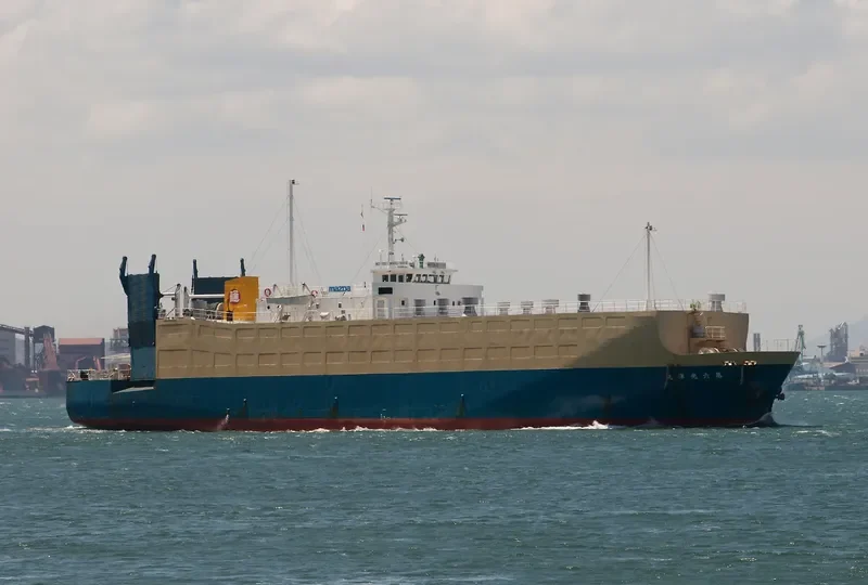 INDIGIRKA General Cargo IMO 9003639 photo 8