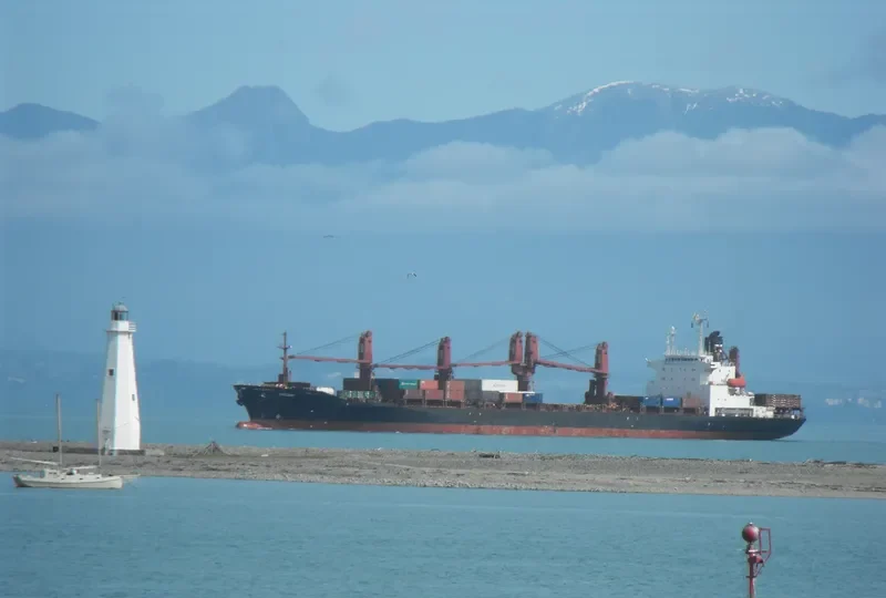 PACIFIC VOYAGER General Cargo IMO 9003835