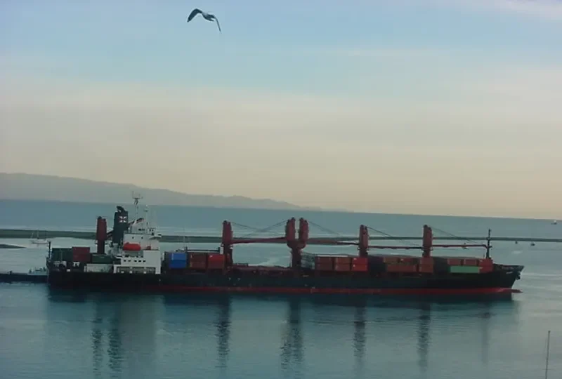PACIFIC VOYAGER General Cargo IMO 9003835 photo 4
