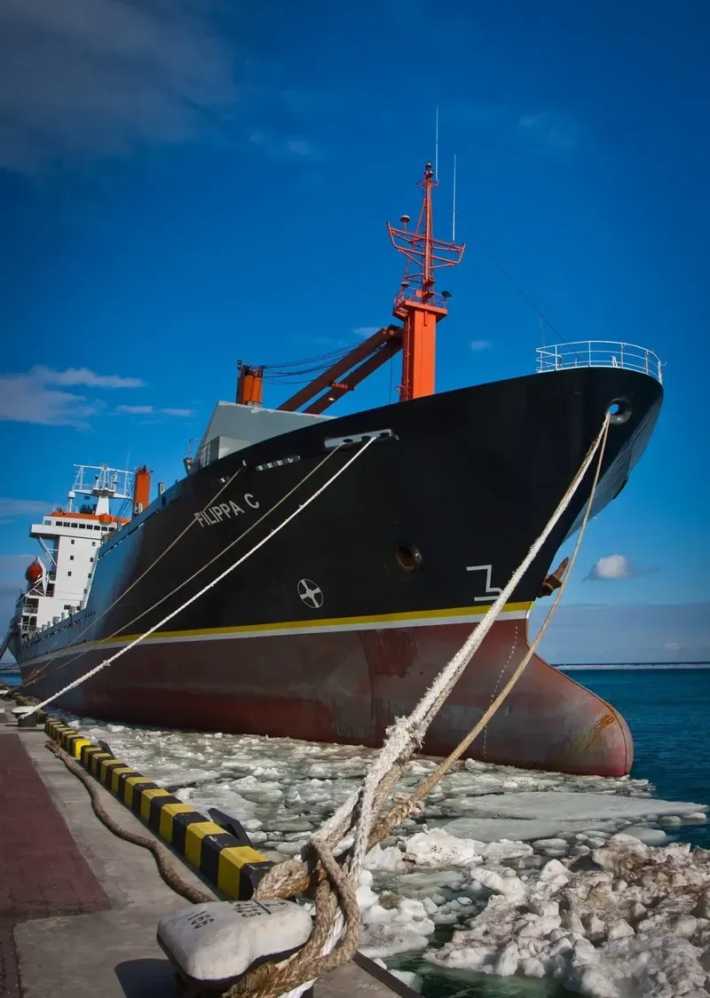 FILIPPA C Container Ship IMO 9004188 photo 2