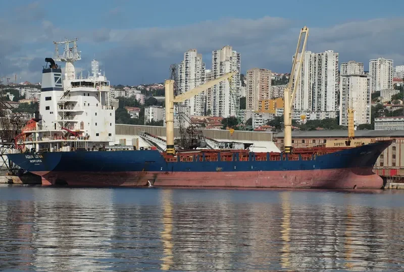 AQUA LUNA Container Ship IMO 9004229 photo 2
