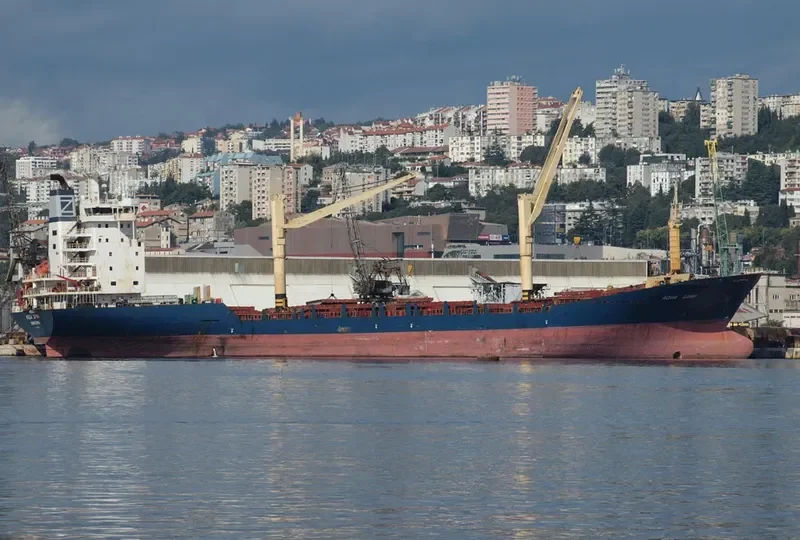 AQUA LUNA Container Ship IMO 9004229 photo 3