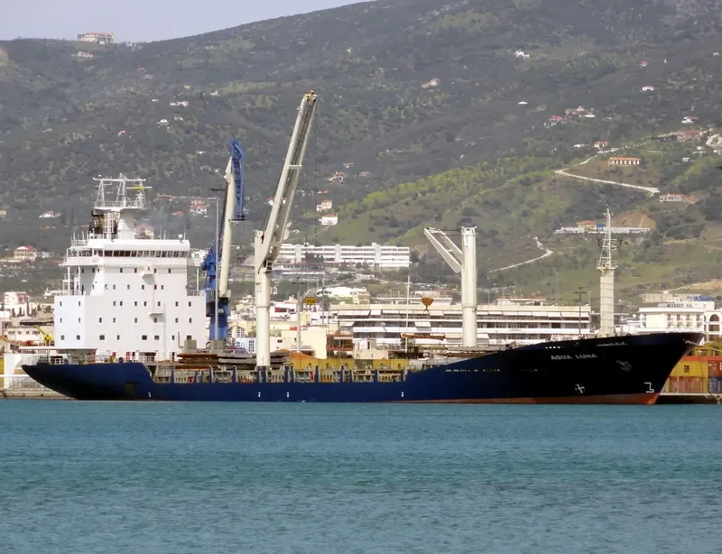 AQUA LUNA Container Ship IMO 9004229 photo 8