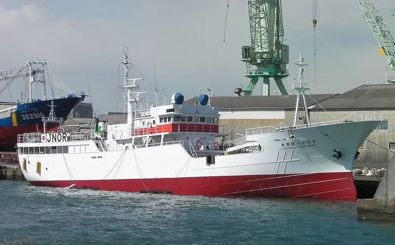 NEON General Cargo IMO 9004293