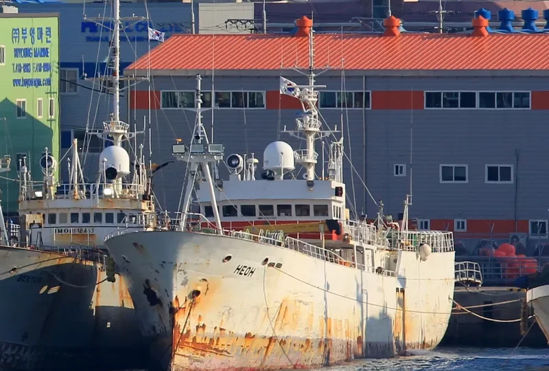 NEON General Cargo IMO 9004293 photo 2