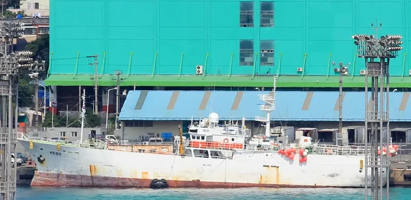 NEON General Cargo IMO 9004293 photo 4