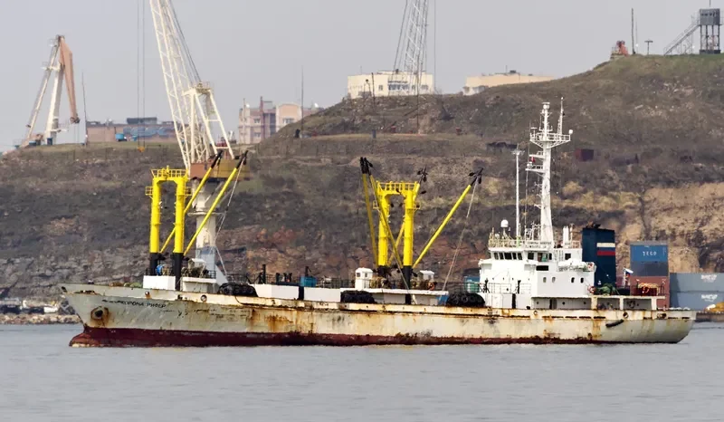 CORONA REEFER General Cargo IMO 9004358 photo 6