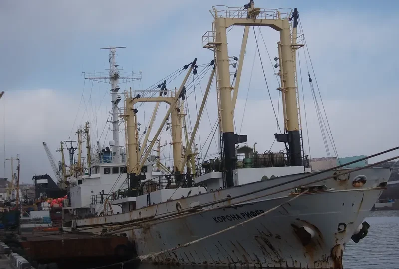 CORONA REEFER General Cargo IMO 9004358 photo 8