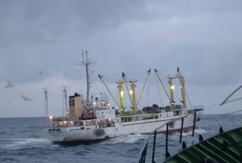 CORONA REEFER General Cargo IMO 9004358 photo 9