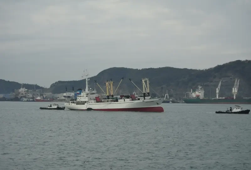 CORONA REEFER General Cargo IMO 9004358 photo 10