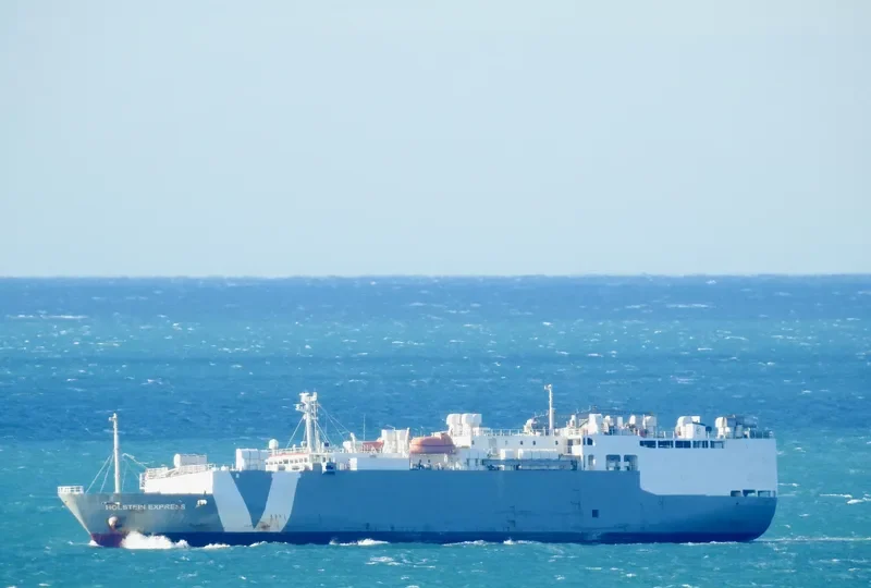 W M F EXPRESS General Cargo IMO 9004413 photo 4