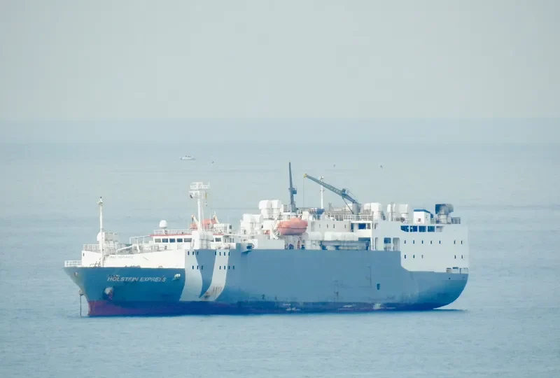 W M F EXPRESS General Cargo IMO 9004413 photo 5