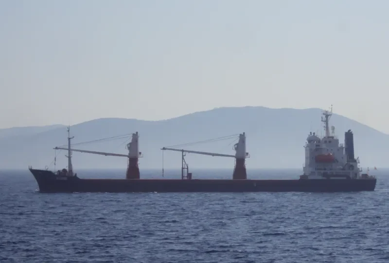 VIKTORIYA General Cargo IMO 9004516 photo 7