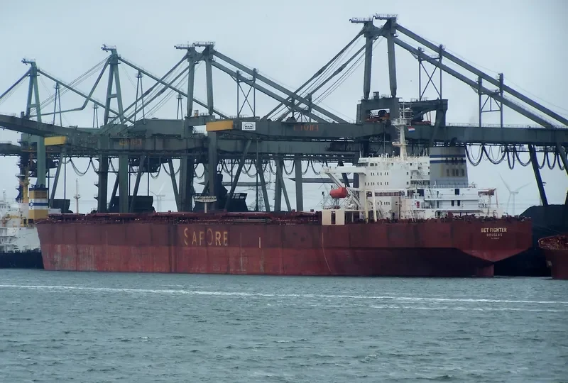 BET FIGHTER Bulk Carrier IMO 9004839