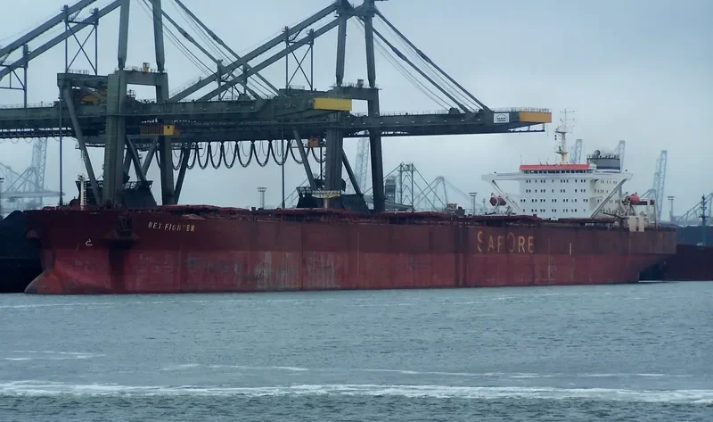 BET FIGHTER Bulk Carrier IMO 9004839 photo 2