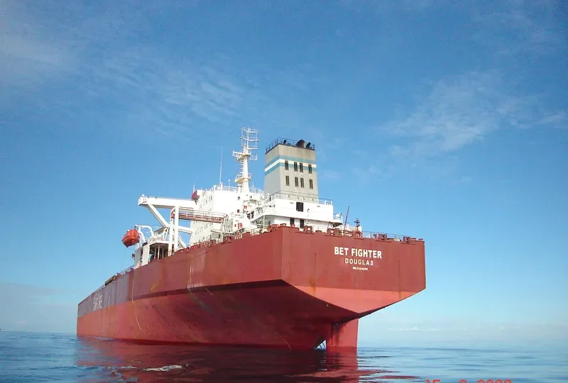 BET FIGHTER Bulk Carrier IMO 9004839 photo 7