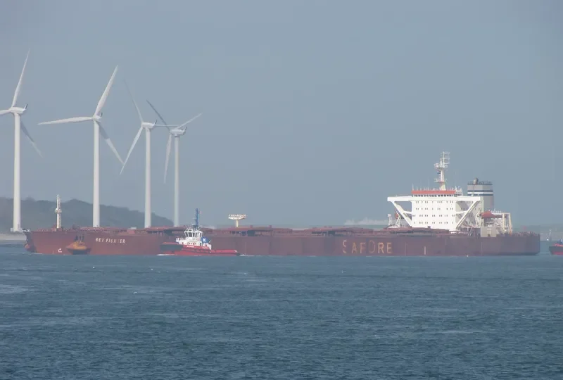 BET FIGHTER Bulk Carrier IMO 9004839 photo 8