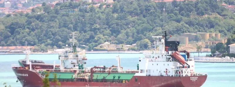MARINA General Cargo IMO 9005493